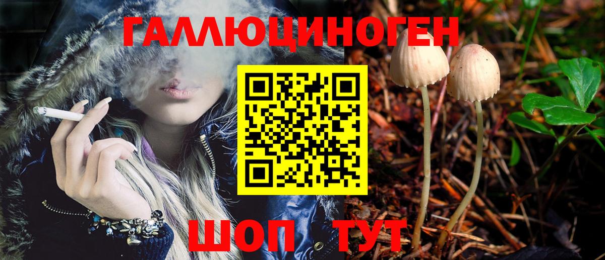 Псилоцибиновые грибы GOLDEN TEACHER  Галлюциногенные грибы мухоморы  Вход с VPN  где продают наркотики  Гатчина 