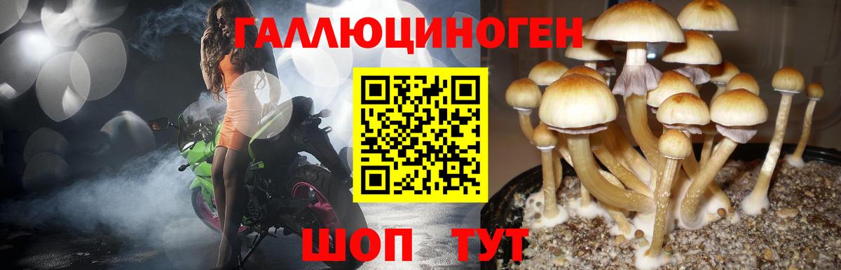 Галлюциногенные грибы GOLDEN TEACHER Гатчина