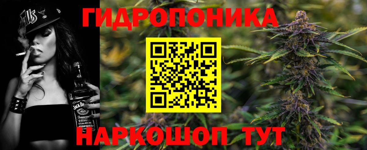 Канабис SATIVA & INDICA Гатчина